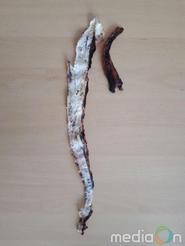 옥윤선아이디어그룹, 건어물을 부드럽고 얇게 펴주는 기계장치 개발