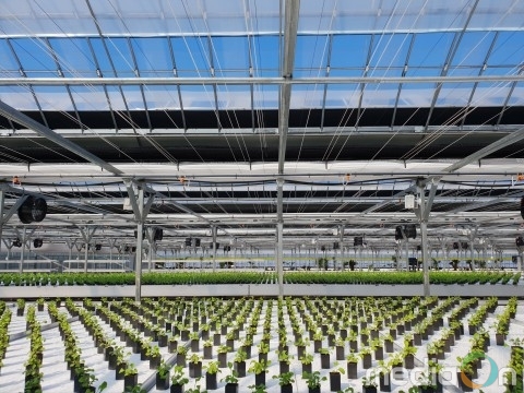 아미코스메틱, 스마트팜 활용해 화장품 원료 소재 개발