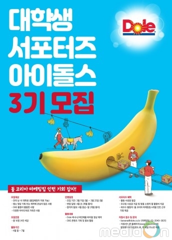 돌 코리아, 대학생 서포터즈 아이돌스 3기 모집